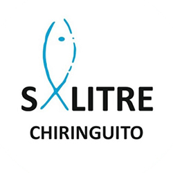 logo salitre blanco