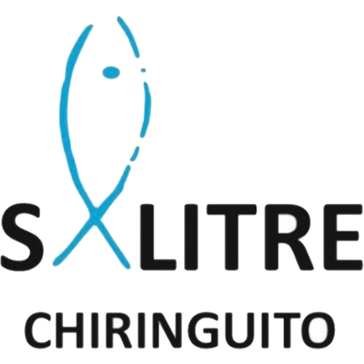 salitre logo